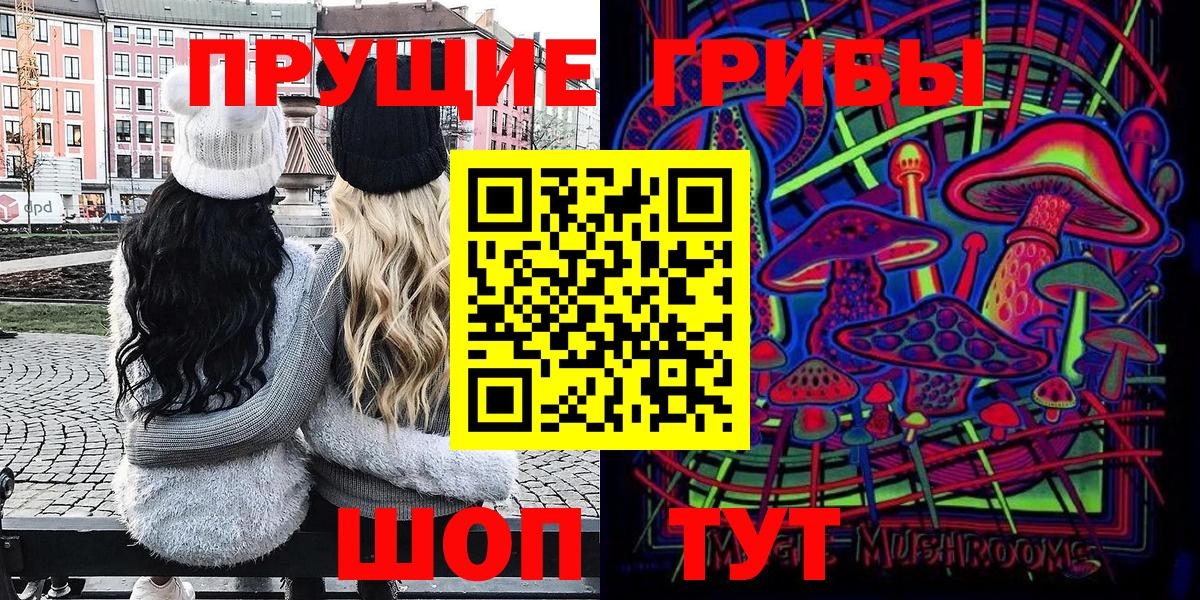 Галлюциногенные грибы Psilocybe Советская Гавань