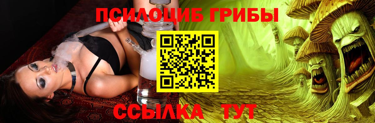 где продают   Вход с VPN  Советская Гавань  Галлюциногенные грибы Magic Shrooms 